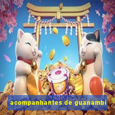 acompanhantes de guanambi